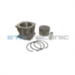 Etp No: M.01.20.4213 | Oem No: 4421300008 | Cylinder Liner With Piston&Rings