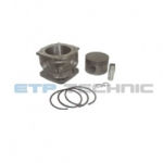 Etp No: M.01.20.0608 | Oem No: 4021300608 | Cylinder Liner With Piston&Rings