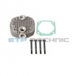Etp No: M.01.20.2919 | Oem No: 0001312919 | Cylinder Head With Plate Kit