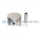 Etp No: M.01.20.1010 | Oem No: 0111010 | Piston And Rings