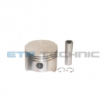Etp No: M.01.20.6210 | Oem No: 0186210 | Piston And Rings