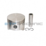 Etp No: M.02.20.1010 | Oem No: 0111010 | Piston And Rings