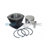 Etp No: M.02.20.6009 | Oem No: 51541056009 | Cylinder Liner With Piston&Rings