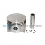 Etp No: M.03.20.6510 | Oem No: 0196510 | Piston And Rings