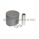 Etp No: M.01.20.9310 | Oem No: 0119310 | Piston And Rings